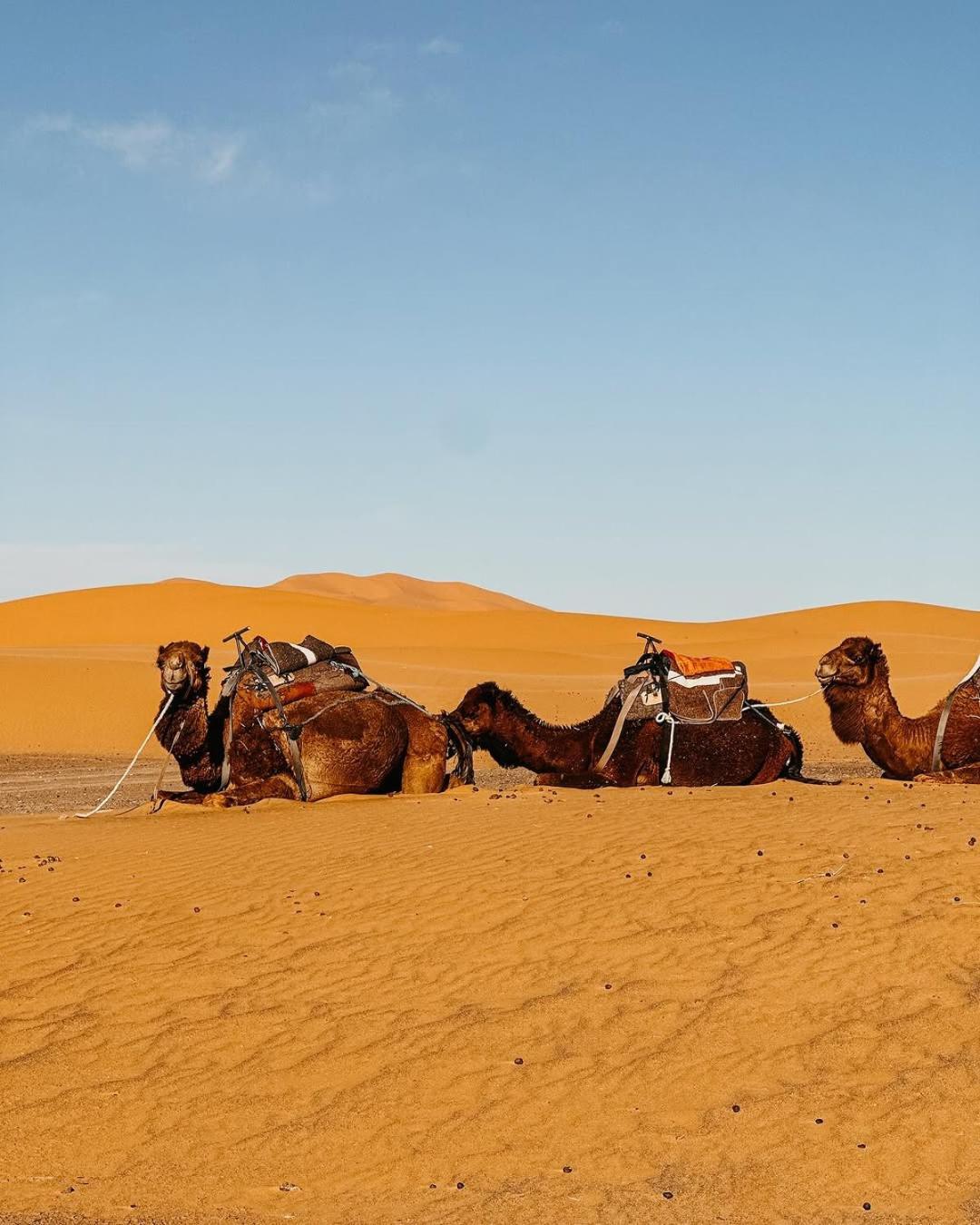 Exquisite Morocco Desert Merzouga Esterno foto